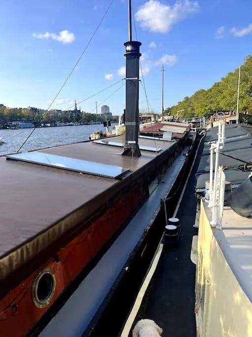 ホームステイ Houseboat In Amsterdamアパートメント オランダ